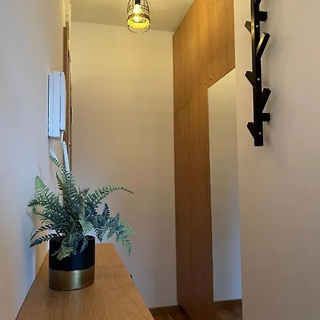 Square 11 Apartment Zlatibor