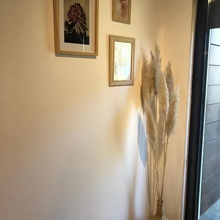 Apartment Square 11